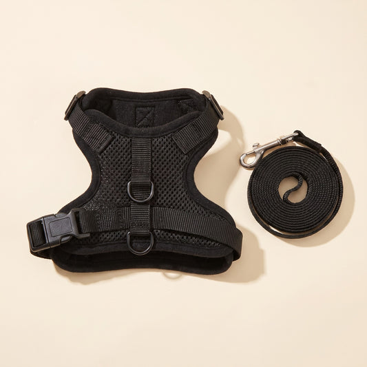 Escape-Proof Cat Harness and Leash, 150cm