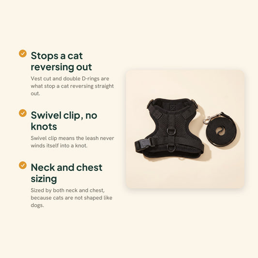 Escape-Proof Cat Harness and Leash, 150cm, key benefits
