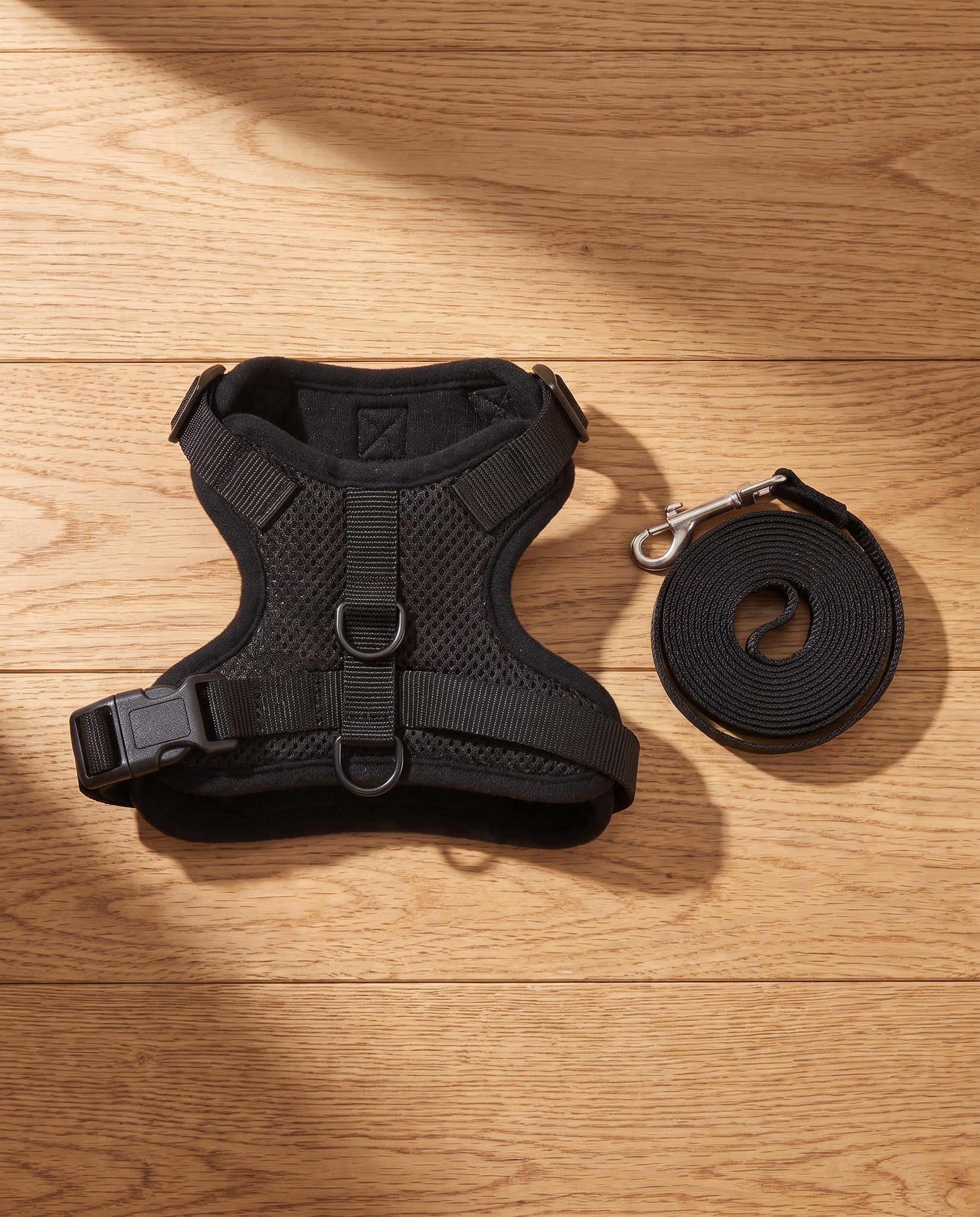 Escape-Proof Cat Harness and Leash, 150cm, styled in a home setting