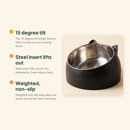 Inclined Stainless Steel Cat Bowl, key benefits