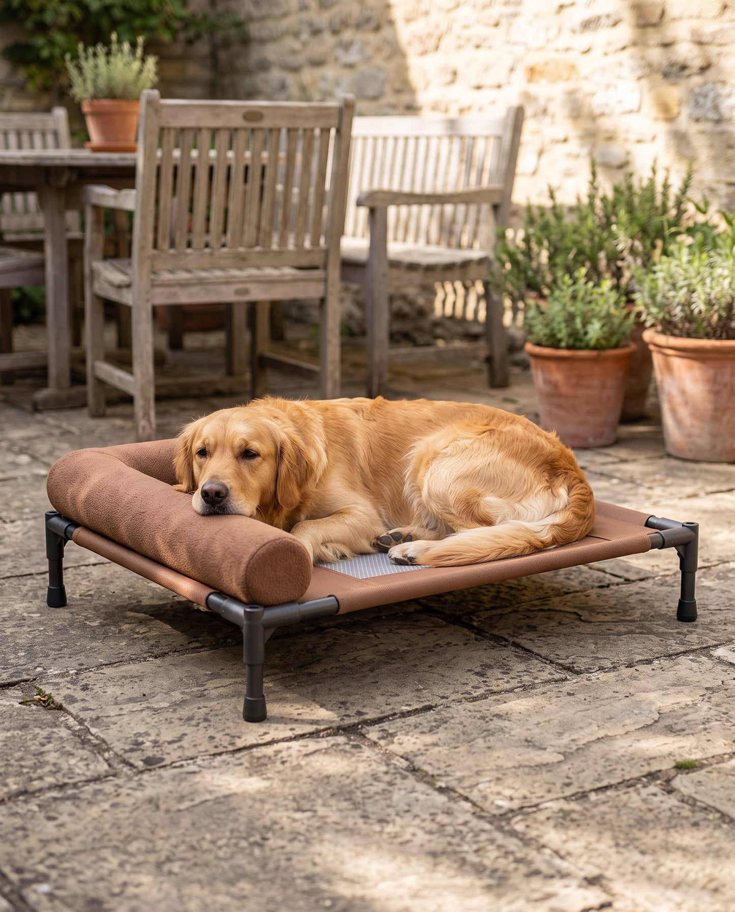 Elevated Cooling Cot Bed with Bolster, in use at home