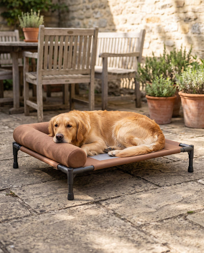 Elevated Cooling Cot Bed with Bolster, in use at home