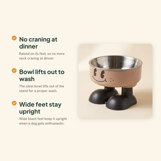 Smiley Elevated Pet Bowl with Steel Insert, key benefits
