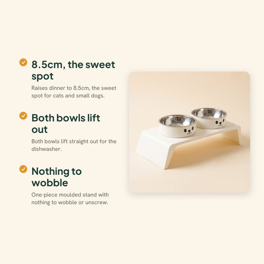 Low Elevated Double Bowl Feeder, key benefits