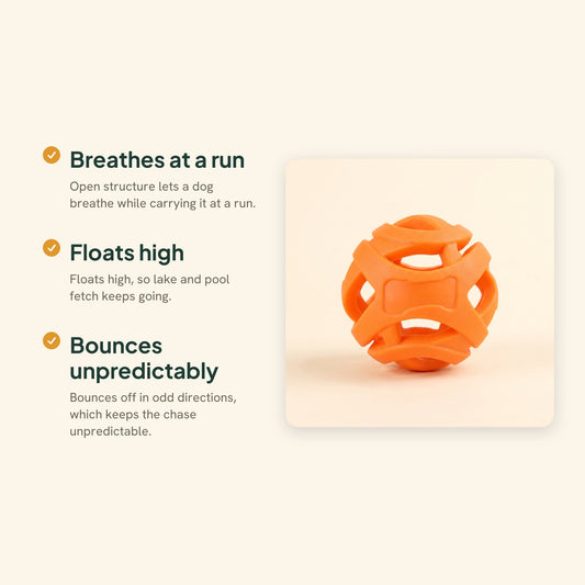 Hollow Rubber Fetch Ball, Floats, key benefits