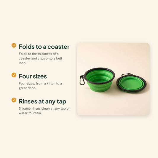 Collapsible Silicone Travel Bowl, key benefits