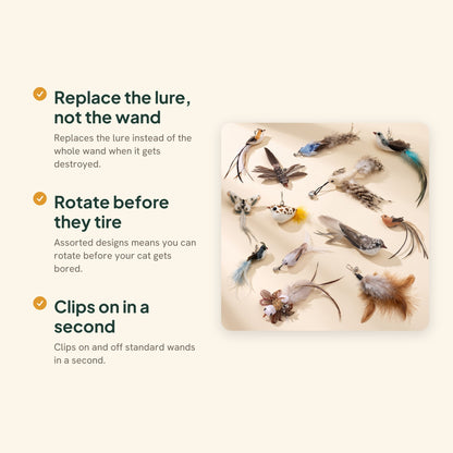 Replacement Feather Lures for Cat Wands, key benefits
