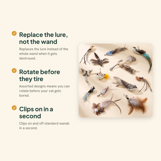 Replacement Feather Lures for Cat Wands, key benefits