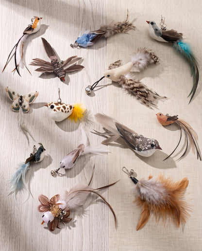 Replacement Feather Lures for Cat Wands, styled in a home setting