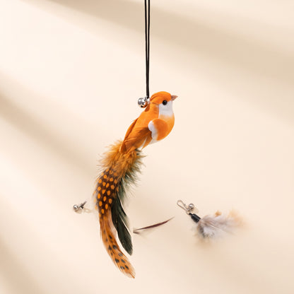 Replacement Feather Lures for Cat Wands - orange-bird
