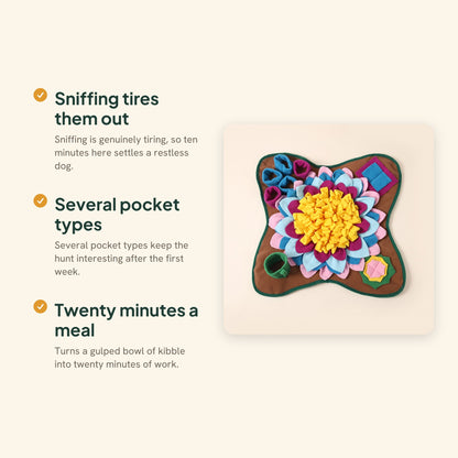 Flower Snuffle Mat for Dogs, key benefits