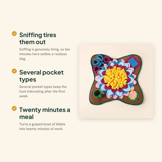 Flower Snuffle Mat for Dogs, key benefits