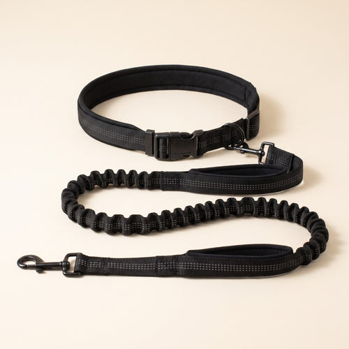 Hands-Free Running Leash with Waist Belt