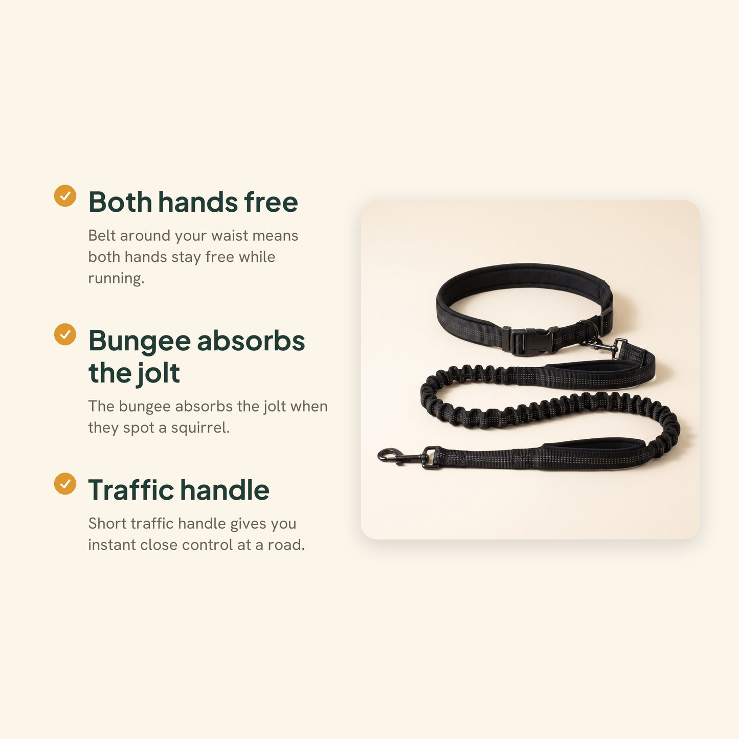 Hands-Free Running Leash with Waist Belt, key benefits