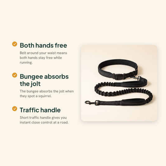 Hands-Free Running Leash with Waist Belt, key benefits