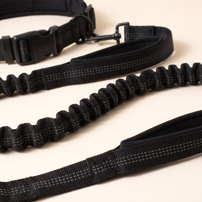 Hands-Free Running Leash with Waist Belt, close-up detail