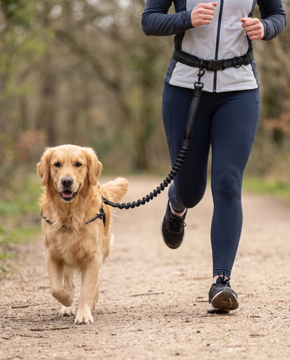 Hands-Free Running Leash with Waist Belt, in use at home