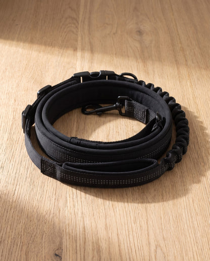 Hands-Free Running Leash with Waist Belt, styled in a home setting