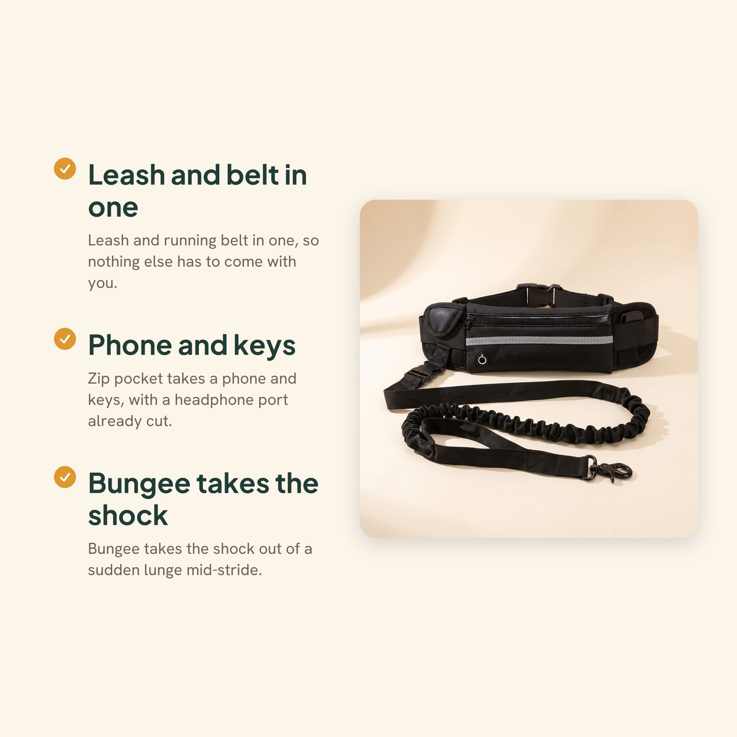 Hands-Free Leash with Waist Pack, key benefits