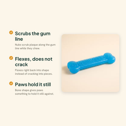 Textured Rubber Bone Chew Toy, key benefits