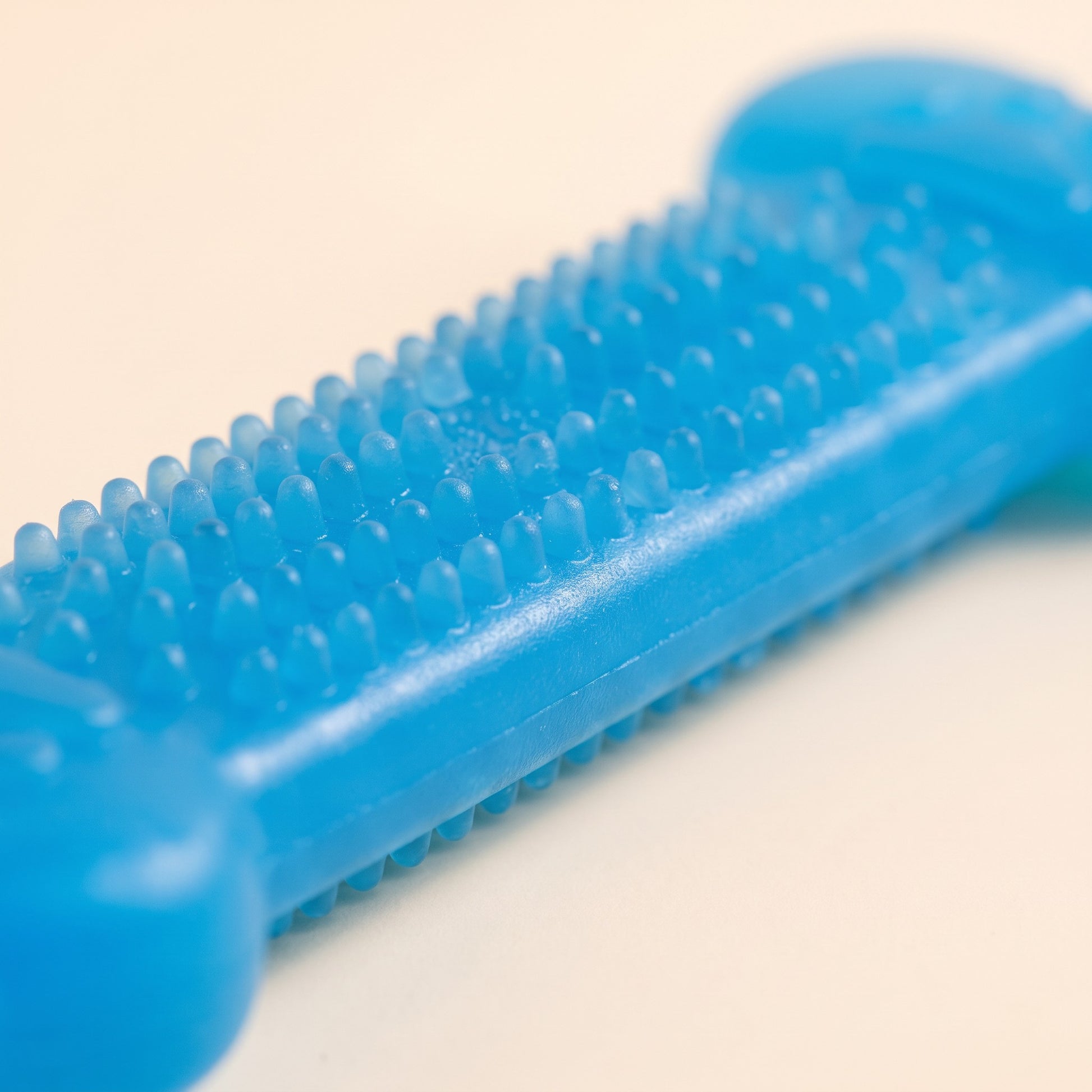 Textured Rubber Bone Chew Toy, close-up detail