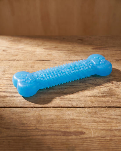 Textured Rubber Bone Chew Toy, styled in a home setting