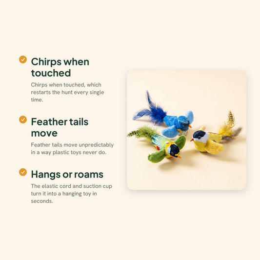 Chirping Feather Bird Cat Toys, key benefits