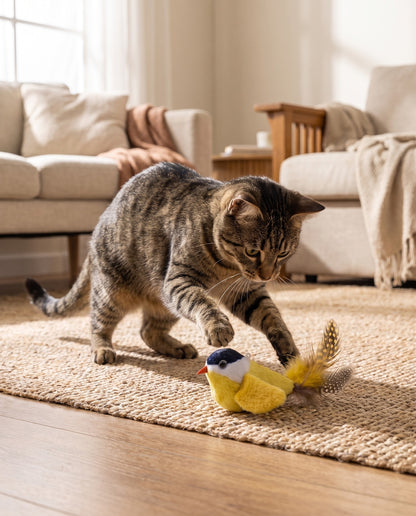 Chirping Feather Bird Cat Toys, in use at home