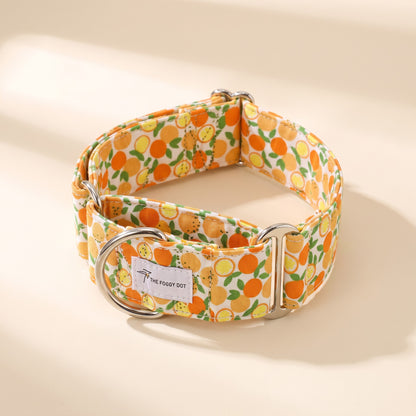 Patterned Cotton Martingale Collar - yellow-fruit