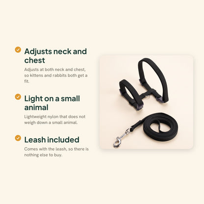 Adjustable Cat Halter Harness and Leash, key benefits