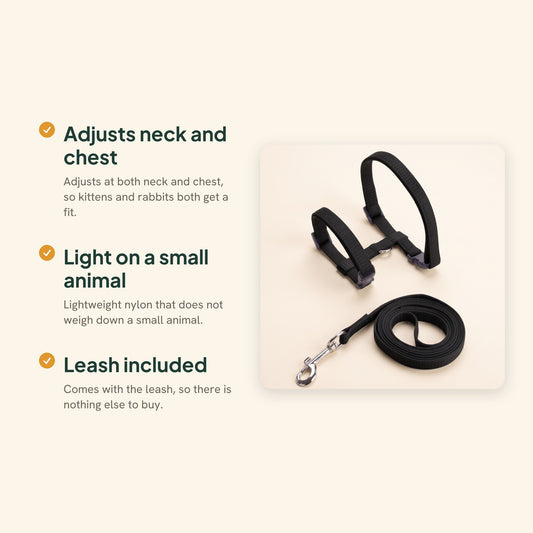 Adjustable Cat Halter Harness and Leash, key benefits