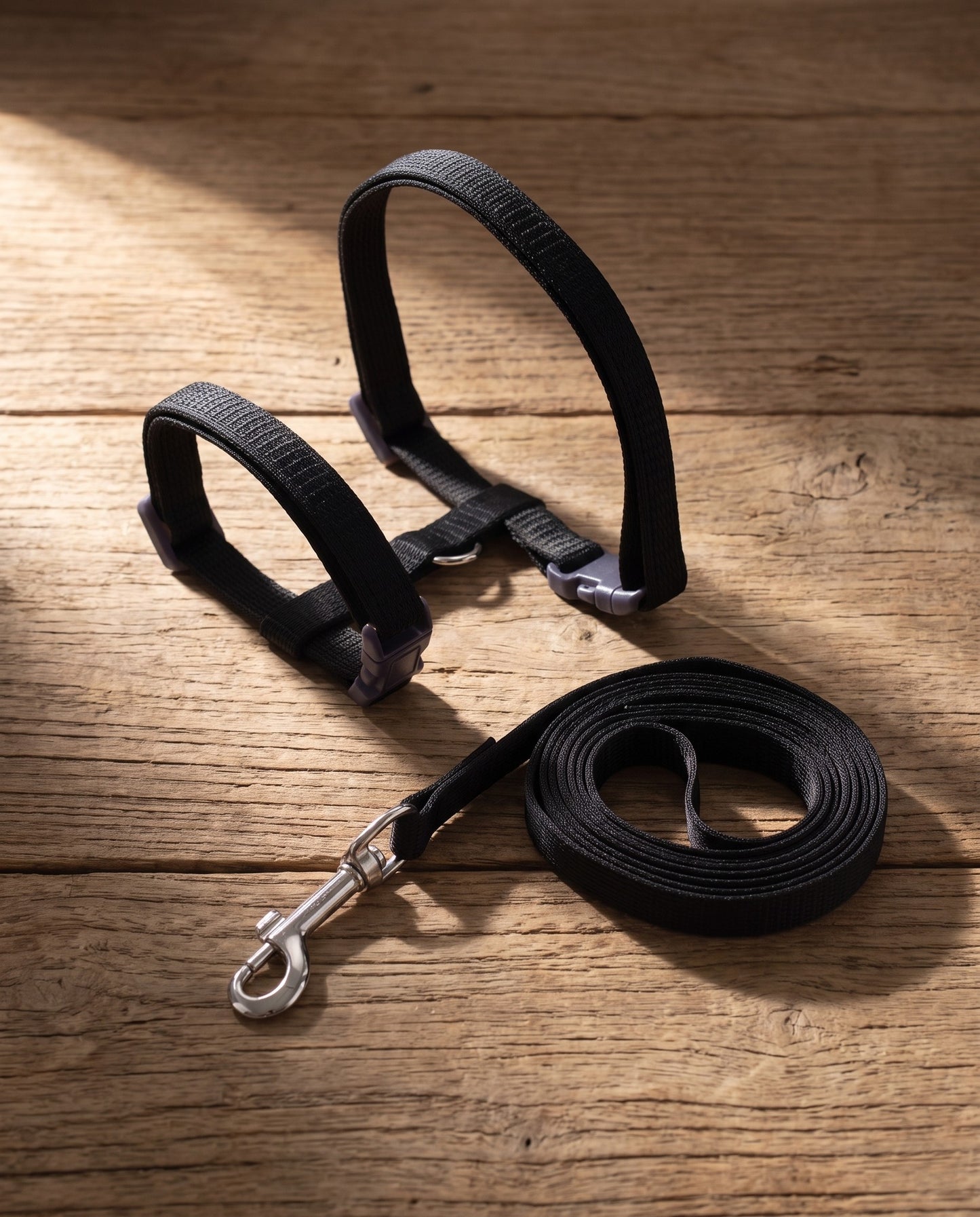 Adjustable Cat Halter Harness and Leash, styled in a home setting
