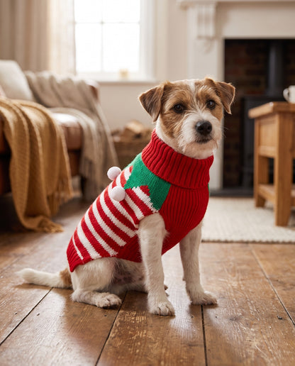 Knitted Christmas Jumper for Dogs and Cats, in use at home