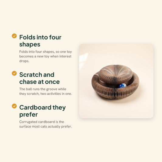Folding Cardboard Cat Scratcher with Ball Track, key benefits