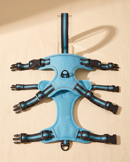 No-Pull Dog Harness with Control Handle, styled in a home setting