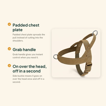 No-Pull Padded Vest Harness, key benefits