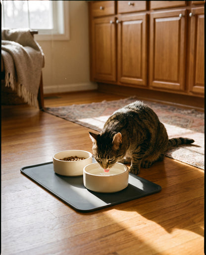 Silicone Bowl Placemat, in use at home