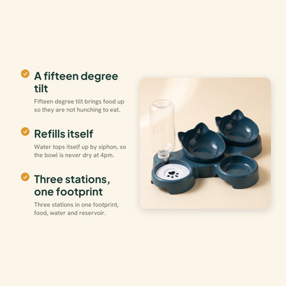 3-in-1 Tilted Bowl Set with Water Bottle, key benefits