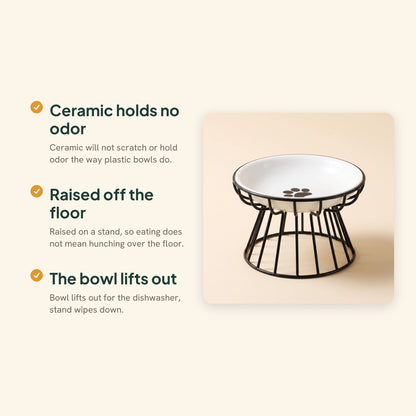 Ceramic Cat Bowl on Raised Stand, key benefits