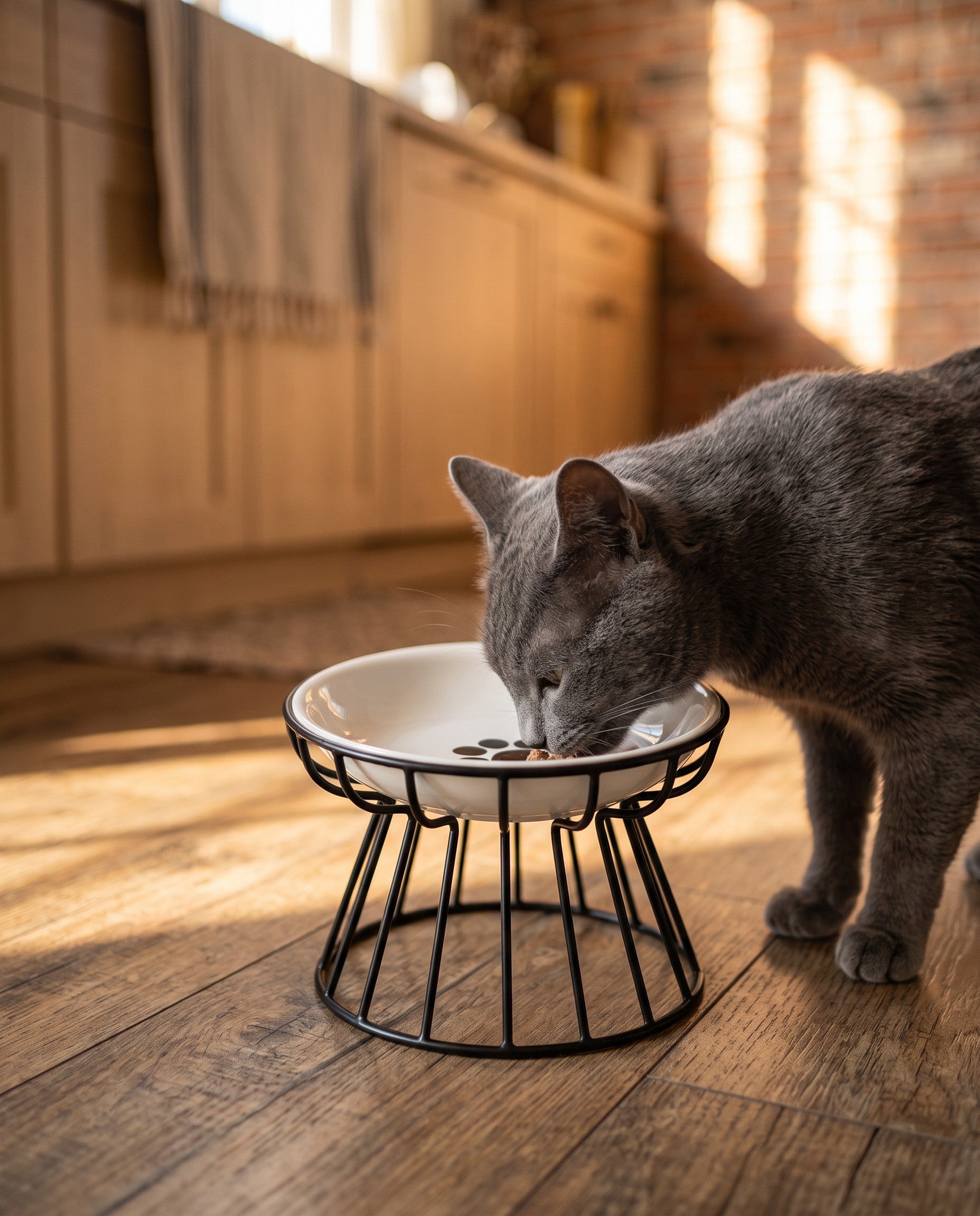 Ceramic Cat Bowl on Raised Stand, in use at home
