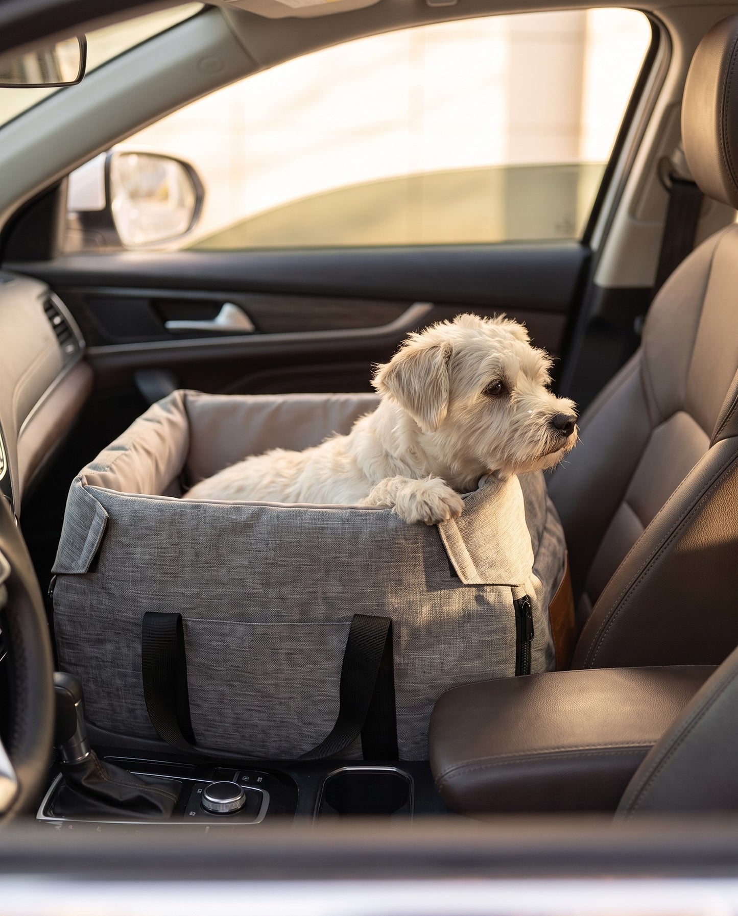 Console Booster Car Seat and Carrier, in use at home