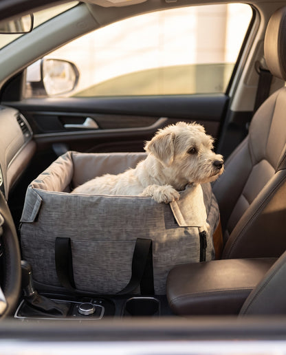 Console Booster Car Seat and Carrier, in use at home