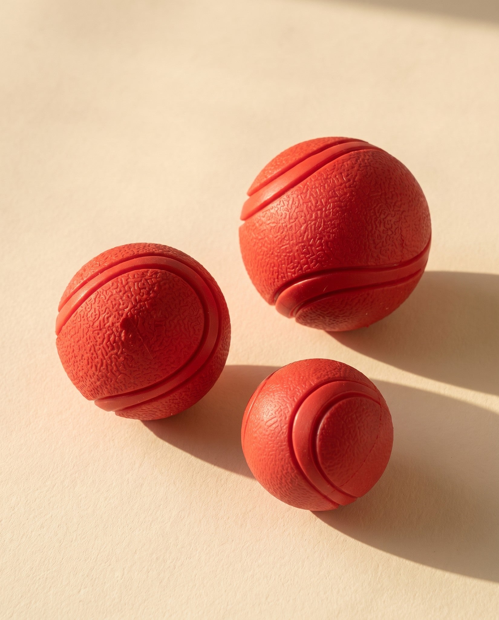 Solid Rubber Bounce Ball for Dogs, styled in a home setting