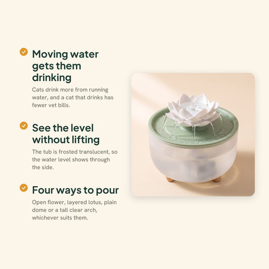 Flower Cat Water Fountain, Green lid, lotus, key benefits