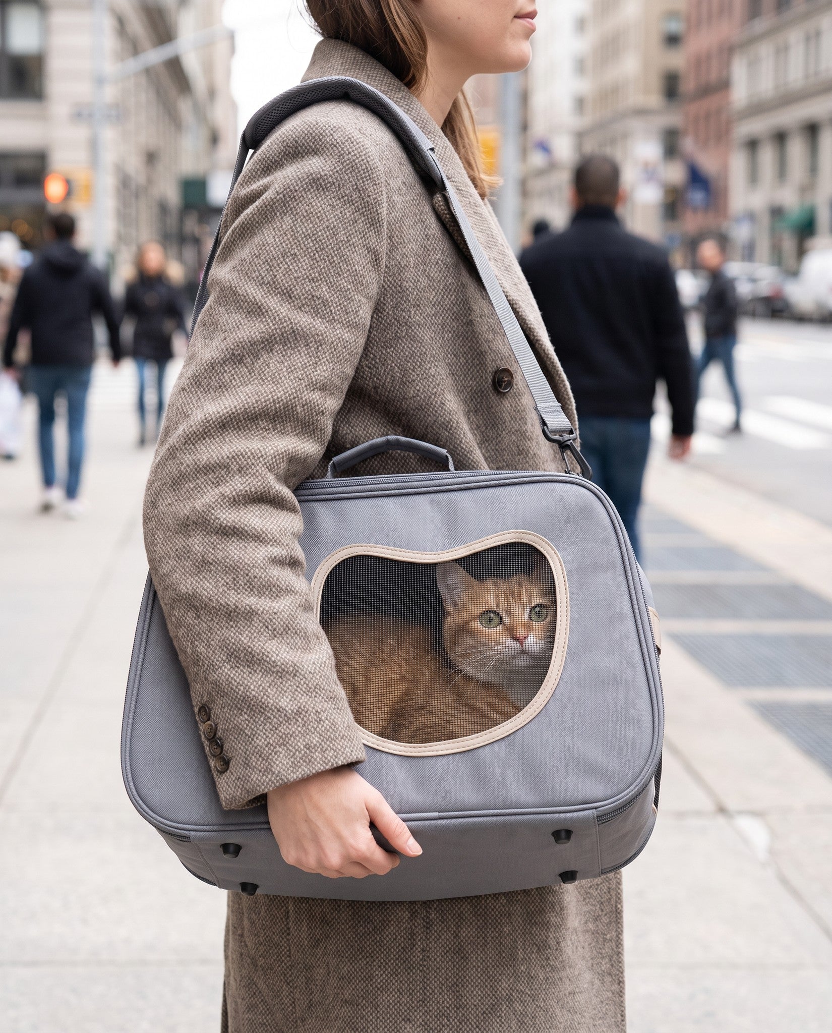 Foldable Soft-Sided Shoulder Carrier, in use at home