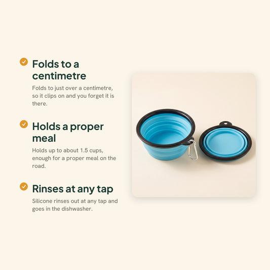 Collapsible Travel Bowl with Carabiner, key benefits