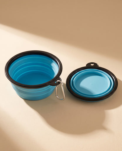 Collapsible Travel Bowl with Carabiner, styled in a home setting
