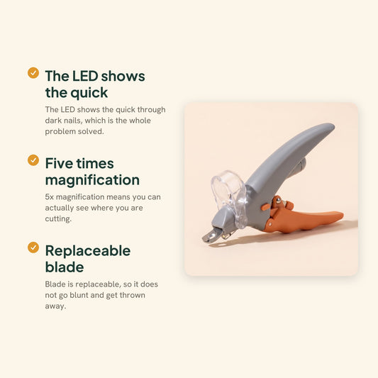 LED Nail Clippers with Magnifier, key benefits