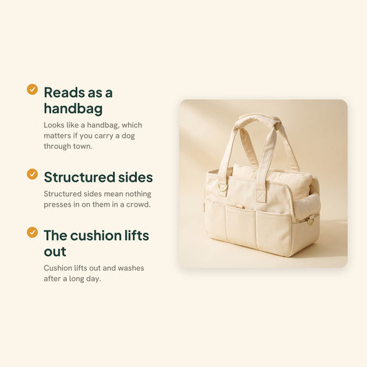 Structured Canvas Dog Carrier Handbag, key benefits