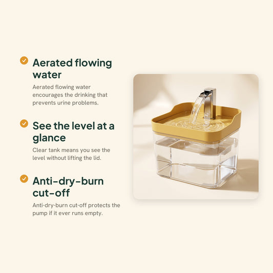 1.5L Cat Water Fountain with Auto Filter, key benefits